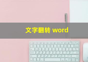 文字翻转 word